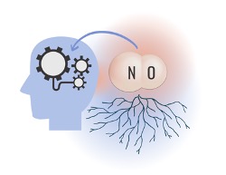 There’s NO Telling What Nitric Oxide Might Bring to Alzheimer’s Disease